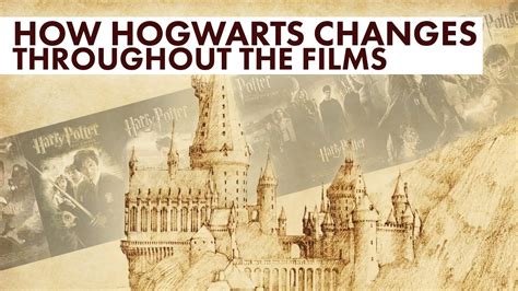 The Wand Collection: Exploring the Magical Tools of Hogwarts